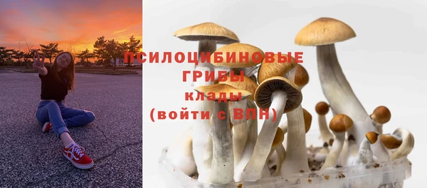 прущая мука Шарыпово