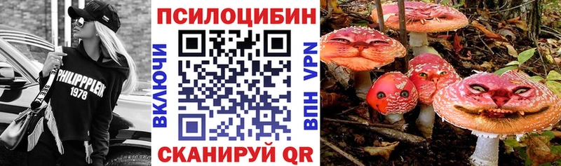 Галлюциногенные грибы Psilocybine cubensis  гидра зеркало  Новый Оскол 
